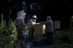 Business4Bees